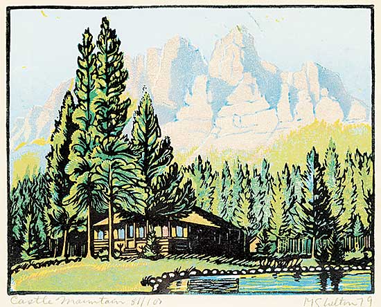 #498 ~ Shelton - Castle Mountain  #81/100