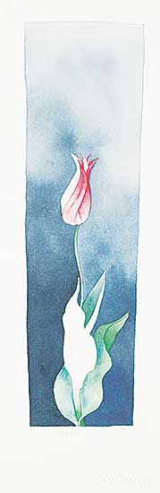 #505 ~ Sinclair - Tulip