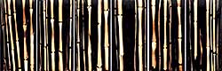 #242 ~ Lukacs - Arbor Vitae II Bamboo [Polyptych]