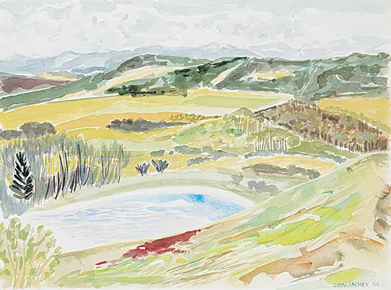 #2010 ~ Ballachey - Pond Below Leighton Centre