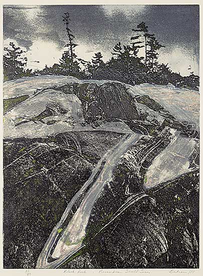 #2016 ~ Bartram - Black Rock, Precambrian Series  #36/50