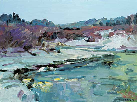 #2054 ~ Cook - Thaw