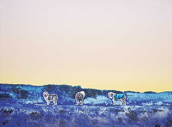 #2124 ~ Haeseker - Below Zero  #6/28