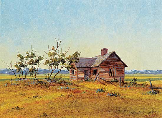 #2127 ~ Haire - Highway to South Near Granum