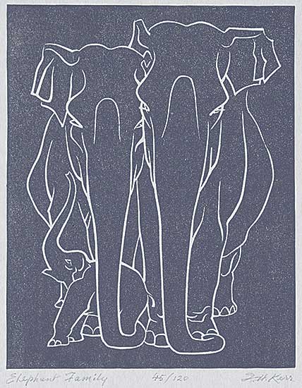 #2163 ~ Kerr - Elephant Family  #45/120