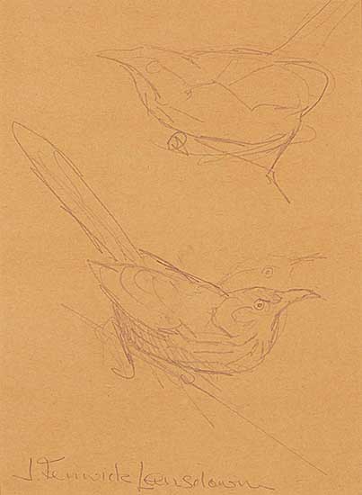 #2176 ~ Lansdowne - Brown Thrasher