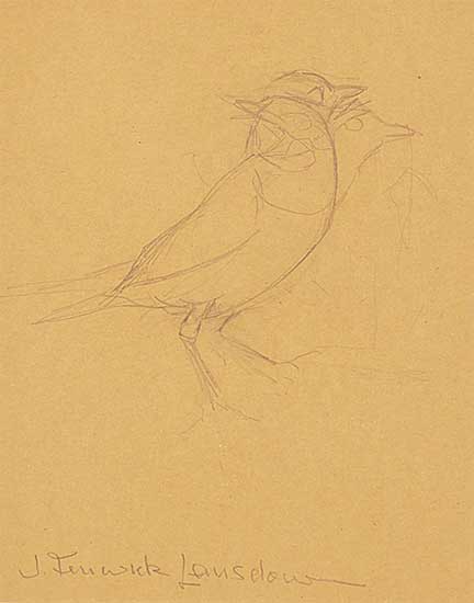 #2178 ~ Lansdowne - Sketch for Birds of the Eastern Forest 2, Plate #66