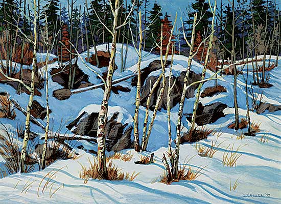 #2219 ~ Martin - Deep in the Woods [Kenora Area]