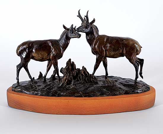 #2249 ~ Murphy - Antelope  #6/24