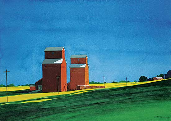 #2345 ~ Thomson - Canola Sunset