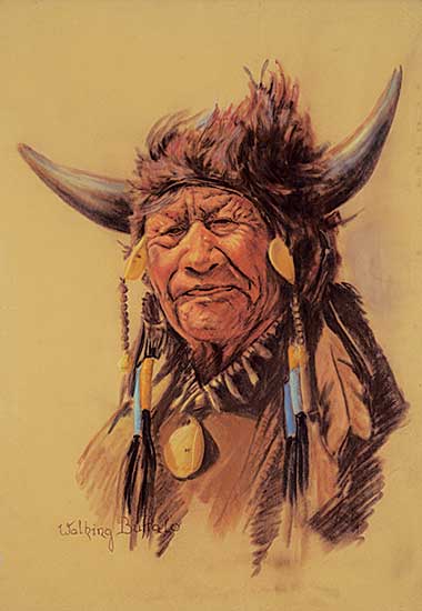 #2375 ~ Zach - Walking Buffalo