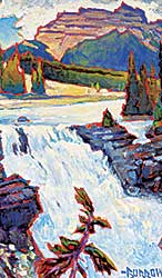 #2044 ~ Burrow - Athabasca Falls