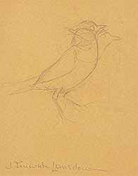 #2178 ~ Lansdowne - Sketch for Birds of the Eastern Forest 2, Plate #66