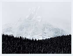 #2284 ~ Richards - Untitled - Mountain Beyond the Trees [Canadian Rockies Series]