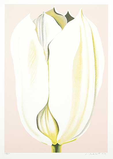 #2032 ~ Nesbitt - Untitled - White Tulip  #129/200