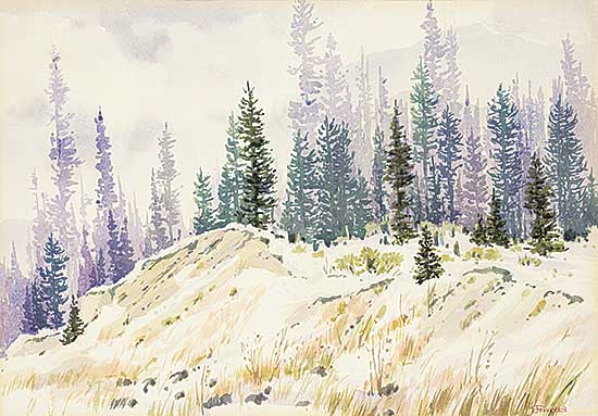 #2047 ~ Perrott - Coleman Highway Snow
