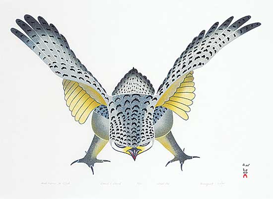 #2175 ~ Pootoogook - Hawk Prepares for Attack  #15/50