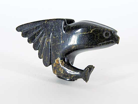 #2302 ~ Sharky - Untitled - Angry Bird