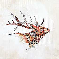 #2053 ~ Walrod - Competitive Display: Cool