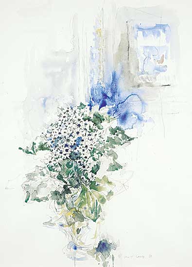 #16 ~ Bobak - White Cineraria