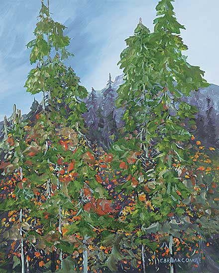 #17 ~ Brimacombe - Edge of the Forest
