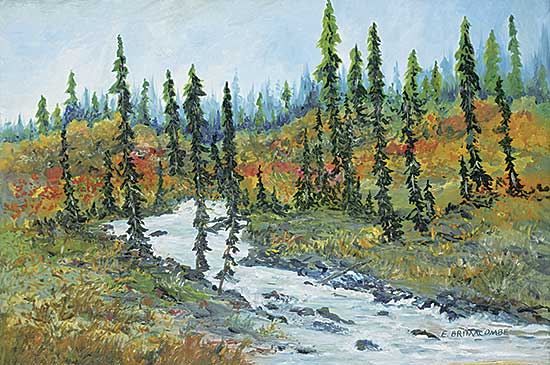 #19 ~ Brimacombe - Brag Tributary
