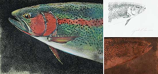#34 ~ Cowin - Rain Bow Study  #B.A.T.