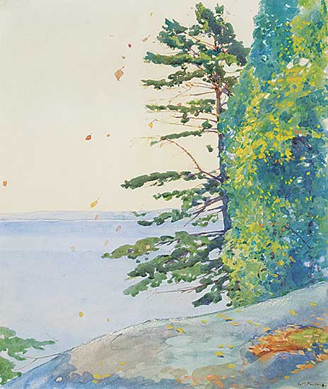 #103 ~ Phillips - Lake of the Woods