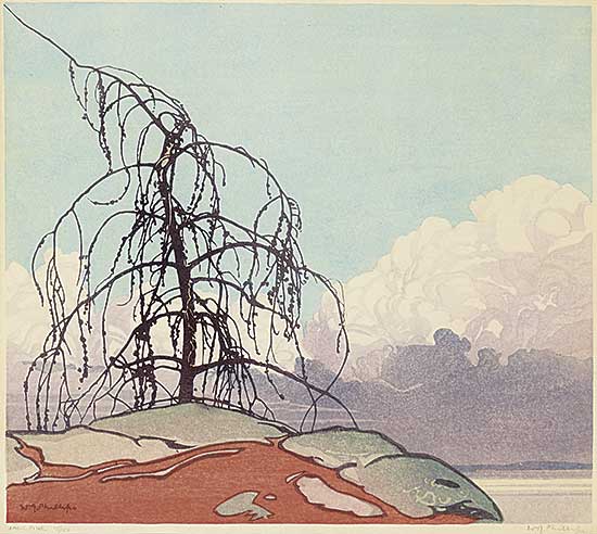 #105 ~ Phillips - The Jack Pine  #15/100