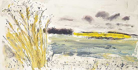 #238 ~ Matthews - Old Canola