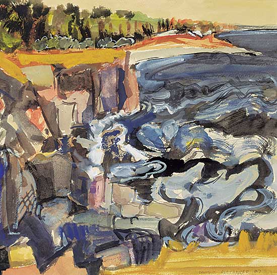 #401 ~ Alexander - Untitled - Oceanside Cliff