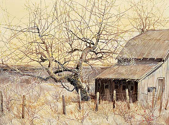 #414 ~ Chan - Untitled - Lonely Barn