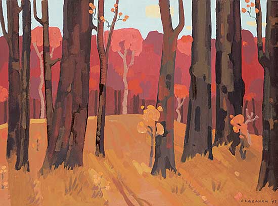 #440 ~ Graham - Autumn Shadows