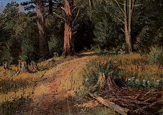 #467 ~ Martin - Road in the Woods - Ontario