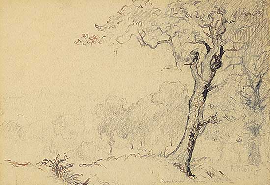 #498 ~ Pilot - Untitled - Summer Landscape