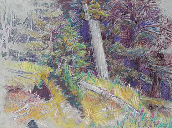 #499 ~ Plaskett - Last Standing Totem at Kaisun, Queen Charlotte Island