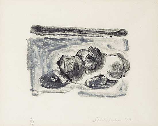 #509 ~ Scherman - Untitled - Apples  #1/1