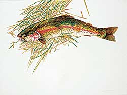 #35 ~ Cowin - Untitled - Rainbow Trout