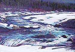 #492 ~ Phelps - Above Elbow Falls