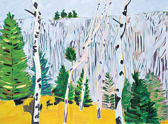 #1009 ~ Ballachey - Grey Ridge