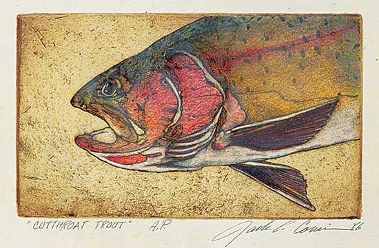#1072 ~ Cowin - Cutthroat Trout  #A.P.