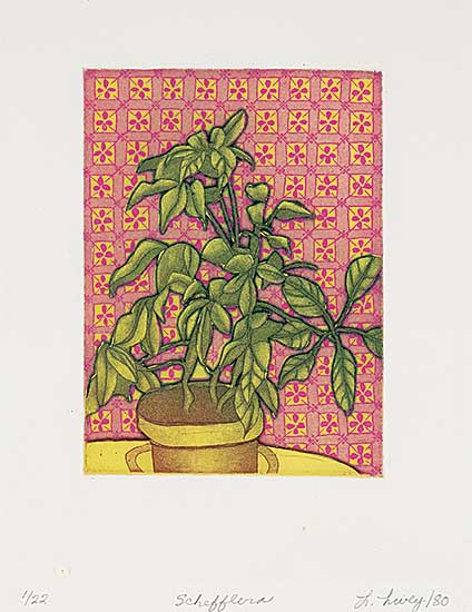 #1207 ~ Livey - Schefflera  #1/22