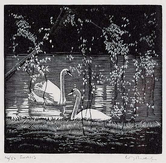 #1284 ~ Phillips - Swans  #14/50