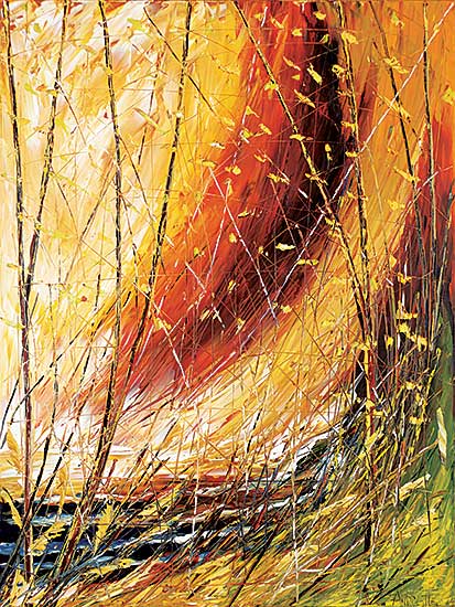 #1289 ~ Pleau - Soiree du Juillet