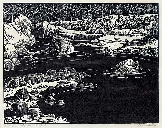 #1343 ~ Shelton - Thomson River  #22/50