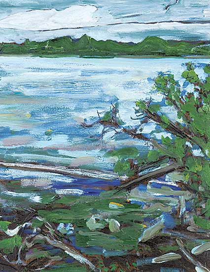 #1356 ~ Snyder - Clear Lake