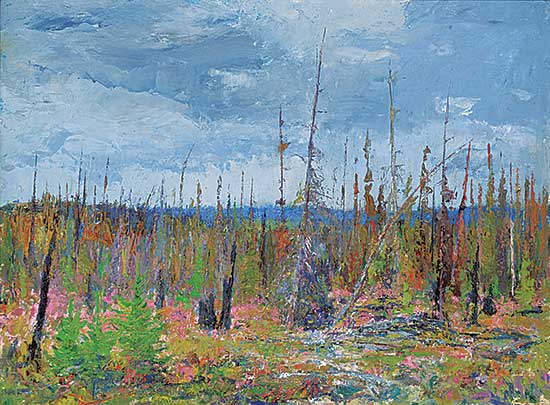 #1377 ~ Turner - Muskeg and Fireweed