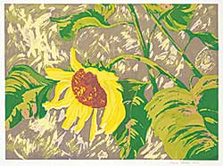 #1389 ~ Wahl - Untitled - Sunflower  #5/6