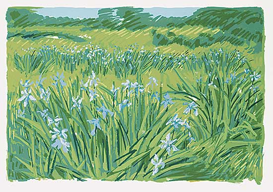 #607 ~ Altwerger - Newfoundland Field Series #2, Wild Iris  #21/25