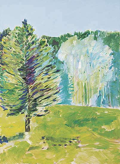 #611 ~ Ballachey - Meadow Above Sheep River